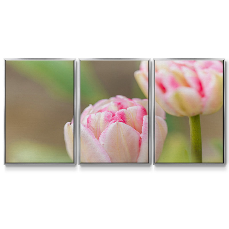 " Blush " 3 - Pieces, 24" H x 48" W x 2" D, Silver