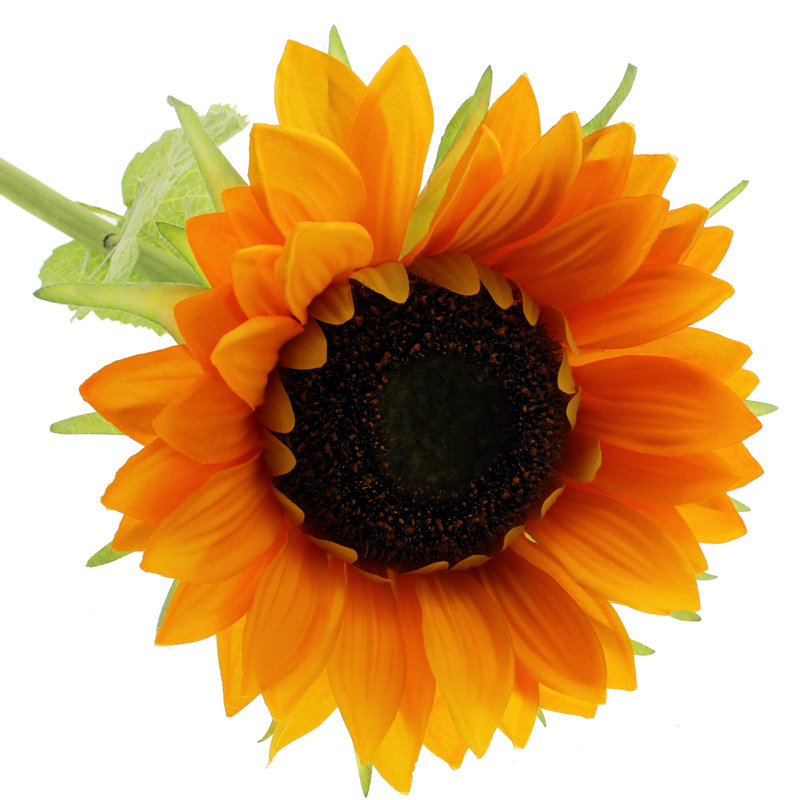 Sunflower Arrangement, Orange