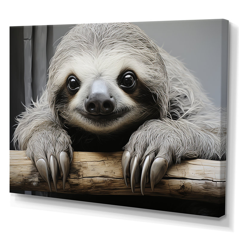 Paresseux doux - impressions sur toile, Toile tendue, H 34 po x l 44 po