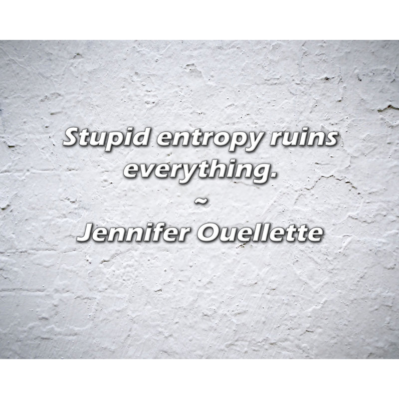 Jennifer Ouellette Citation: L'entropie stupide ruine tout., H 20 po x l 24 po