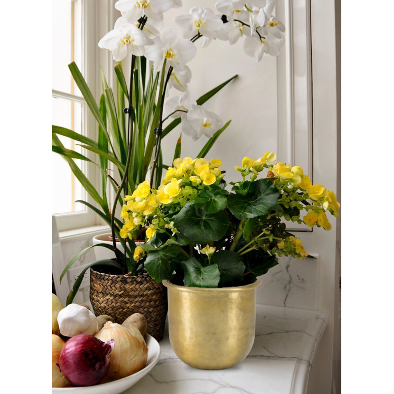 Janiuszck Aluminum Table Vase