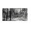 Crystal Palace Print by Paul Ngo-26761620-26761621