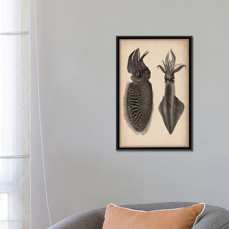 « animal octopus squid scientific », impression sur toile, H 26 po x l 18 po x P 1,5 po, Toile encadrée noire, Aucun mat