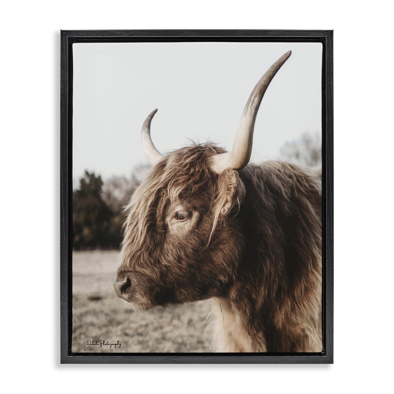 Horned Cattle Peering Floating Frame, design by Dakota Diener, Jet Black Floater Frame, 31" H x 25" W
