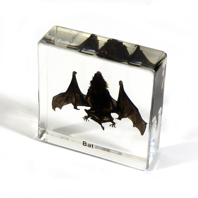 Presse-papiers chauve-souris Rakowski