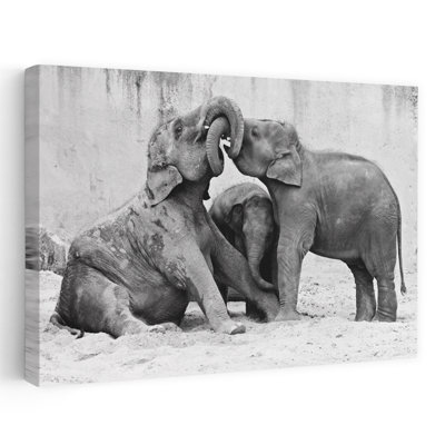 Playful Elephant Calves 1 Piece Wrapped Canvas Wall Art