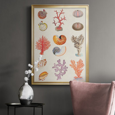 «Coral and Shell Collage I», impression sur papier