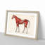 Anatomy Of A Horse - Single Picture Frame Painting-55545239-55545241