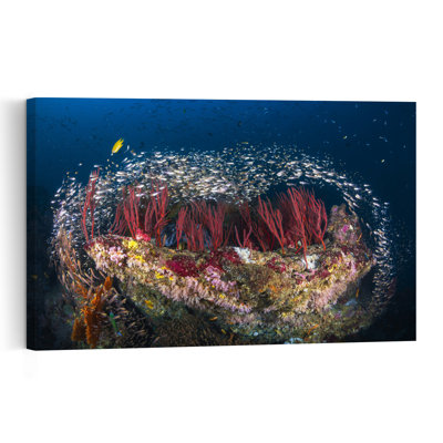 Vibrant Coral Reef Life Colorful Vibrant Fish Nature Ocean Wall Art Print 1 Piece Wrapped Canvas Wall Art