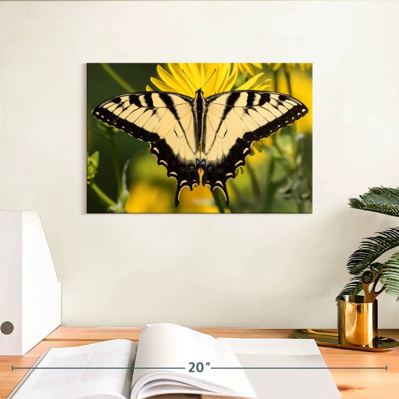 Perched Swallowtail Butterfly, 8" H x 12" W