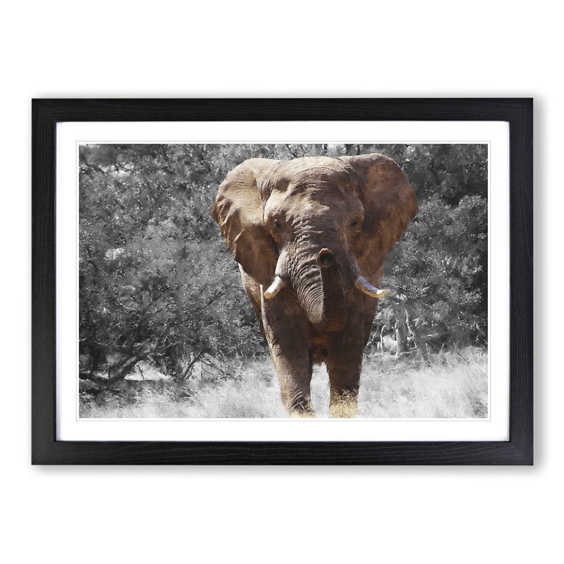 Elephant Vol.1 - Picture Frame Graphic Art, Black Framed, 48cm H x 65cm W x 2cm D