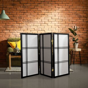 Luxor Acrylic sneeze guards 1-Panel Clear Polypropylene Contemporary/Modern  Style Room Divider in the Room Dividers department at