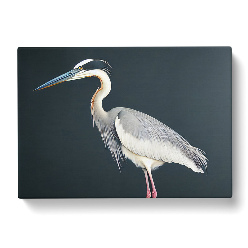 Awesome Heron Bird - Wrapped Canvas, 50cm H x 76cm W x 3cm D