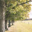Paz VIII Print by Karyn Millet-50632116-50632117