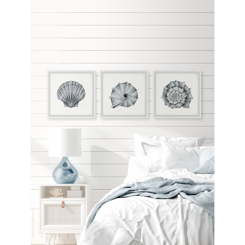 Pretty Shells - 3 Piece Single Picture Frame Painting, 81cm H x 81cm W