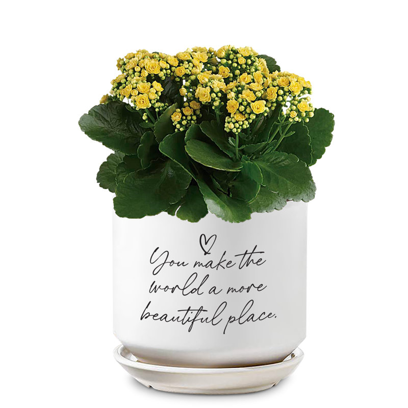 Jardinière You Make The World Beautiful