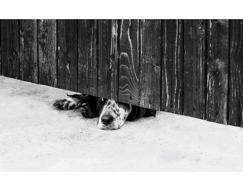 Wrapped Canvas Print, 81.28 cm H x 121.92 cm W