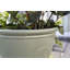 Eden Emblem Plant Pot - Plastic-296775583-296775556