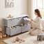 Grey 5 Drawer Storage Chest