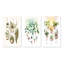 «Boho Botanical Joyful Hanging Houseplants», 3 pièces sur toile-1484279073-1484279074