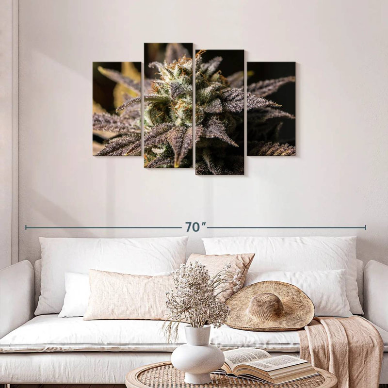 Marijuana en hiver, H 27 po x l 43 po