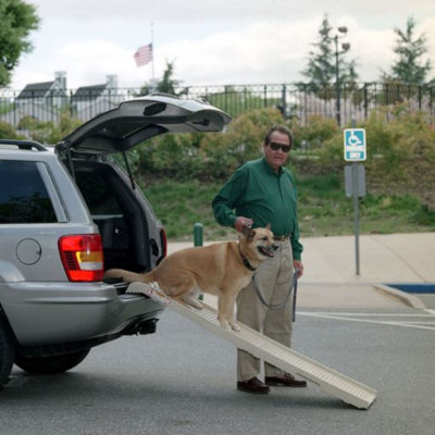 Bly Collapsible Ramp