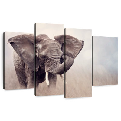 Brampt Young Savanna Elephant