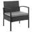 Noli Modern 2-Person Patio Conversation Sets with Polyester Cushions in Black and Gray-1982495537
