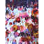 Best For Last Print by Elizabeth Chapman-64402120