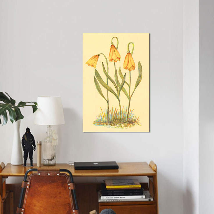 « fritillary », reproduction sur toile, H 12 po x l 8 po x P 0,75 po, Pas de tapis, Toile tendue