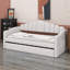 Upholstered Daybed With Trundle ,Velvet Sofabed With USB Charging Ports,No Box-Spring Needed-245404190