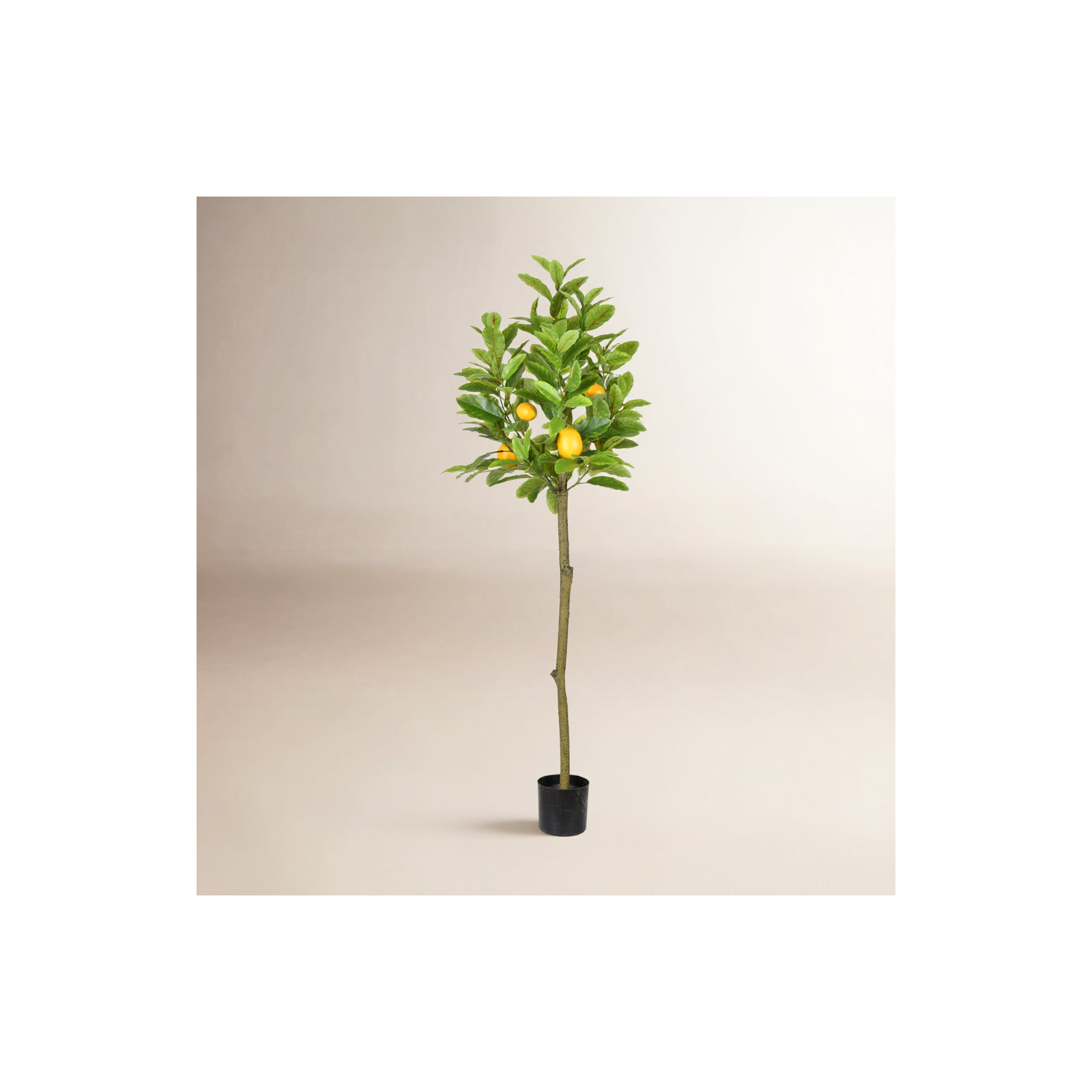 Artificial Potted Lemon Tree, 55" H x 22" W x 22" D
