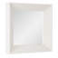 Lemons Square Composite Beveled Mirror