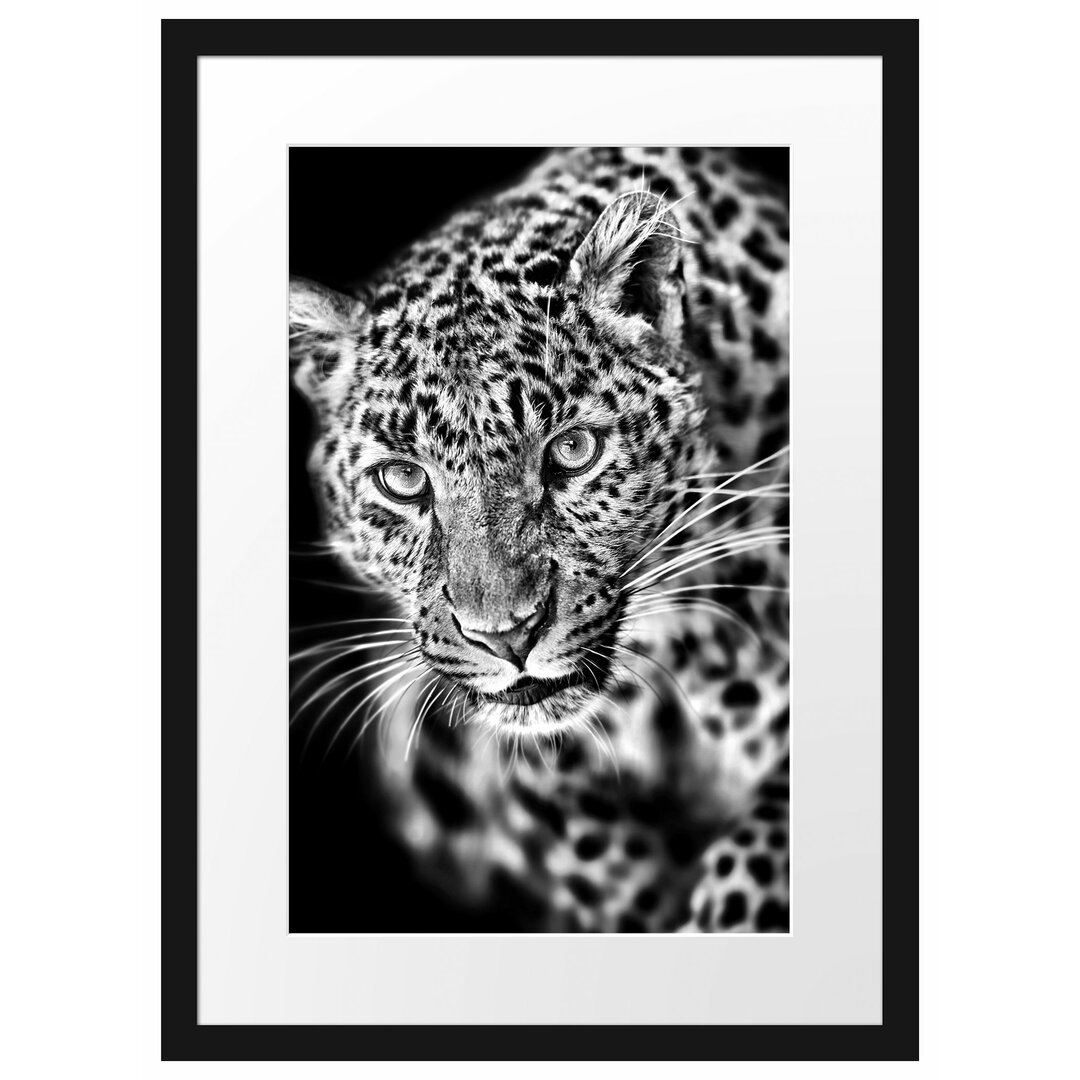 Anmutiger Leopard Gerahmter Kunstdruck Poster