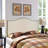 Curl Nailhead Upholstered Headboard-1823131706-1816451003-1816451006