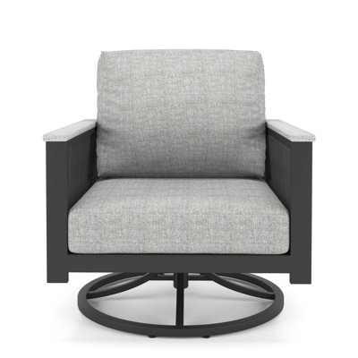Townsend Outdoor Townsend Swivel Rocker Metal Chair with Cushion by Birch Lane