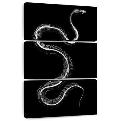 Brampt Snake Bones