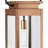Ginseng Outdoor Hanging Lantern