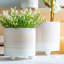 Ceramic Pot Planter-63880956