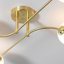 Aaliyah Glass Semi Flush Mount