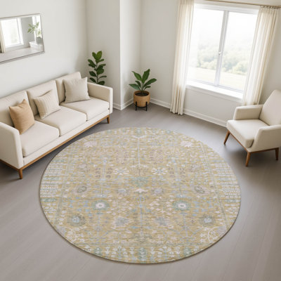 Premium Machine Washable Mayfield AMF2231 Global Rug