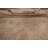 Traditional Area Rug 7x10
