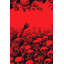 Décoration murale murale crânes, horreur, rouge