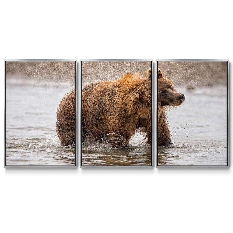 Étude de photographie Shake It Off 3 pièces, H 24 po x l 48 po x P 2 po, Argent