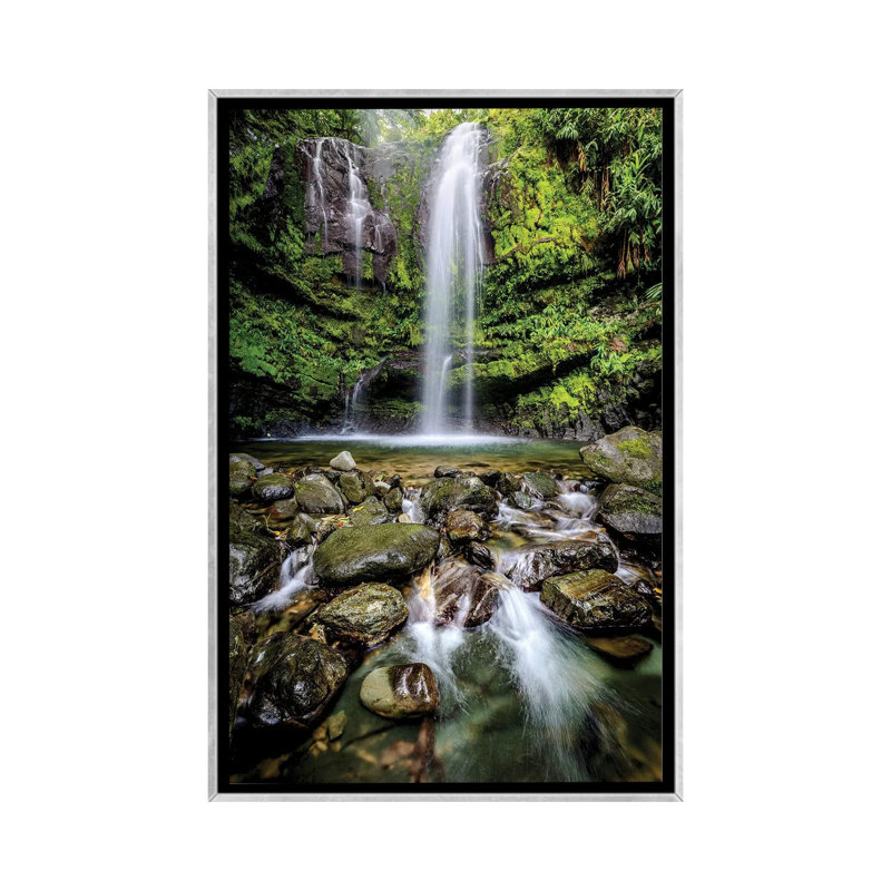 «Puerto Rico Waterfall», reproduction d'art sur toile encadrée, H 26 po x l 18 po, Argent