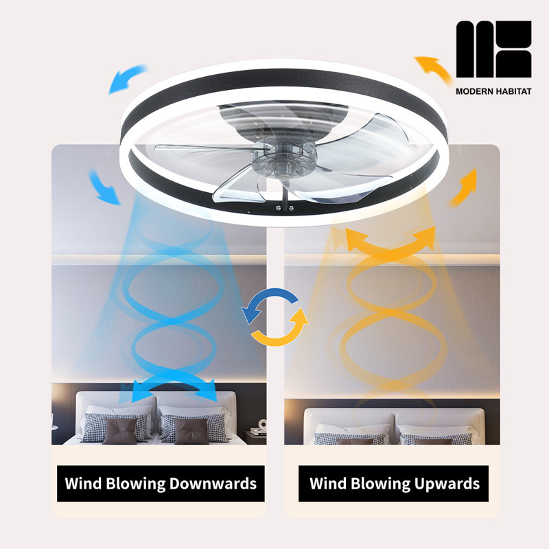 Dusen 19.7 in. Ceiling Fan with LED Lights