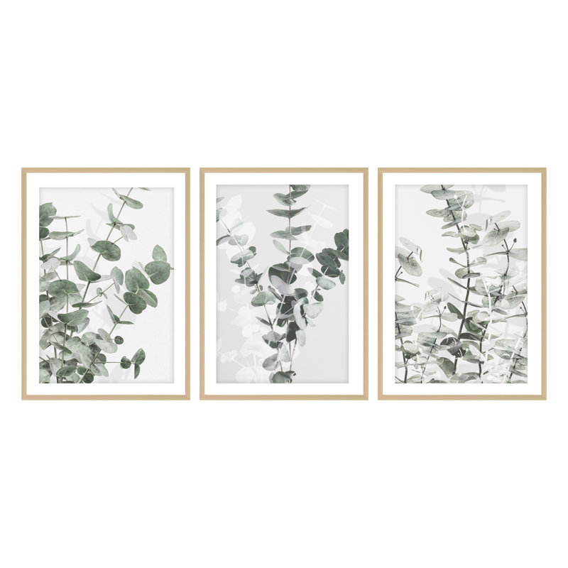 Eucalyptus Green and White Framed Botanical Print Set