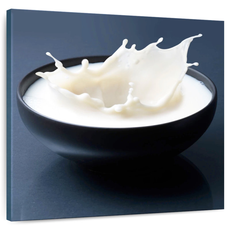Yarlin Milk Bowl Splash