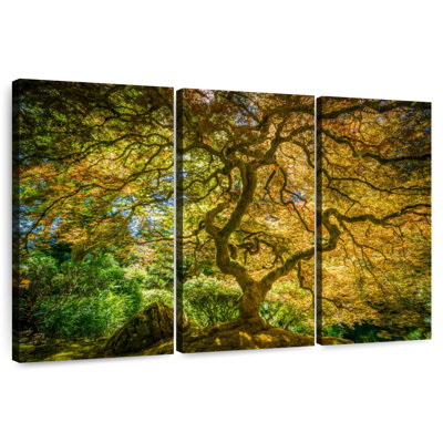 Harnek Ancient Japanese Maple