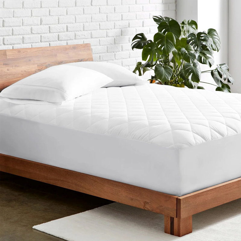 Fitted Mattress Protector Case Pack, Kingsize (5')